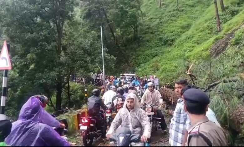 हल्द्वानी, बलदियाखान मार्ग पर चीड़ का पेड़ गिरने से मार्ग हुआ अवरुद्ध, आयुक्त ने तत्काल पूरी टीम को बुलाकर मार्ग को खुलवाया