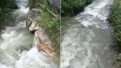 घास लेने गई महिला का पैर फिसला, उफनते गदेरे में बहने से मौत घास लेने गई महिला का पैर फिसला, उफनते गदेरे में बहने से मौत