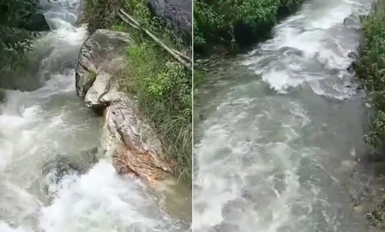 घास लेने गई महिला का पैर फिसला, उफनते गदेरे में बहने से मौत घास लेने गई महिला का पैर फिसला, उफनते गदेरे में बहने से मौत