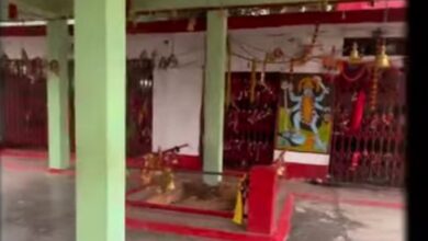 15 सितंबर से चार दिवसीय मायका प्रवास पर आयेगी मां कालिका देवी, पनाई सेरा माण्डा मंडप में हुई बैठक 15 सितंबर से चार दिवसीय मायका प्रवास पर आयेगी मां कालिका देवी, पनाई सेरा माण्डा मंडप में हुई बैठक