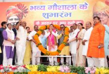 प्रदेश में 16 हजार से अधिक निराश्रित गोवंश को गौ सदनों के माध्यम से दिया जा रहा सुरक्षित आश्रय : मुख्यमंत्री