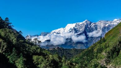 हिमालय दिवस : हिमालय पुकार रहा है…