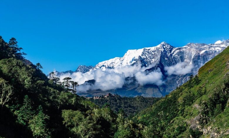 हिमालय दिवस : हिमालय पुकार रहा है… हिमालय दिवस : हिमालय पुकार रहा है…