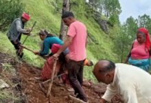 सड़क के इंतजार में सूना होता गांव: कभी 40 परिवारों की चहल-पहल, अब ग्रामीण खुद काट रहे सड़क सड़क के इंतजार में सूना होता गांव: कभी 40 परिवारों की चहल-पहल, अब ग्रामीण खुद काट रहे सड़क