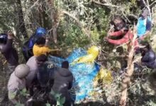 कुराड़ गांव में तार में फंसा भालू, रातभर करता रहा निकलने की कोशिश; वन विभाग ने सुरक्षित निकाला कुराड़ गांव में तार में फंसा भालू, रातभर करता रहा निकलने की कोशिश; वन विभाग ने सुरक्षित निकाला