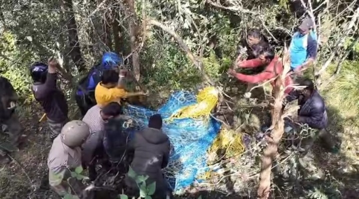 कुराड़ गांव में तार में फंसा भालू, रातभर करता रहा निकलने की कोशिश; वन विभाग ने सुरक्षित निकाला कुराड़ गांव में तार में फंसा भालू, रातभर करता रहा निकलने की कोशिश; वन विभाग ने सुरक्षित निकाला